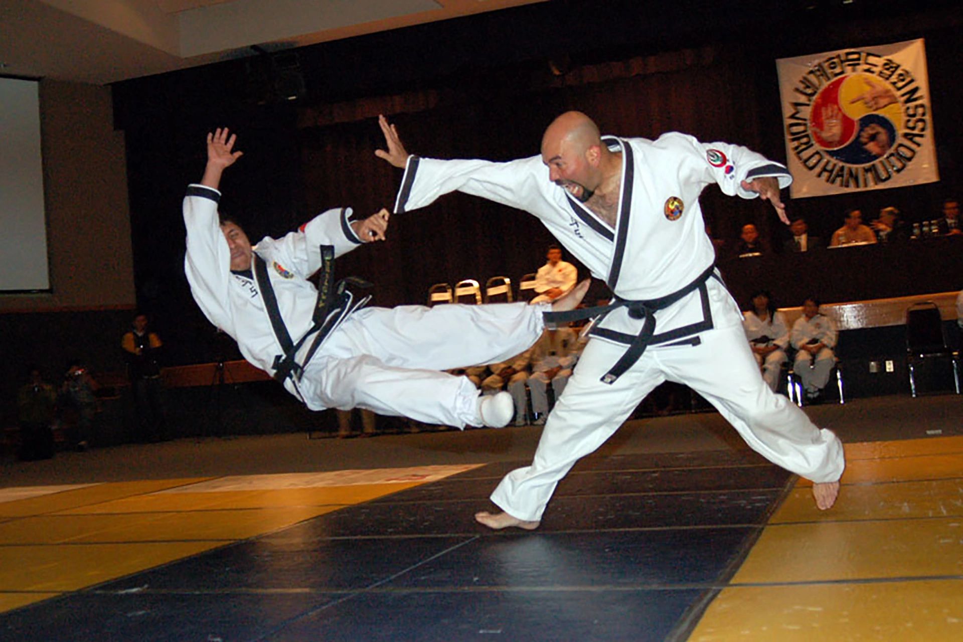 Han Palm - Artes Marciales